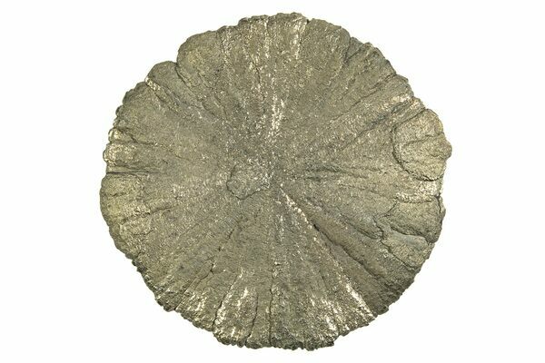 A pyrite sun from Sparta, Illinois